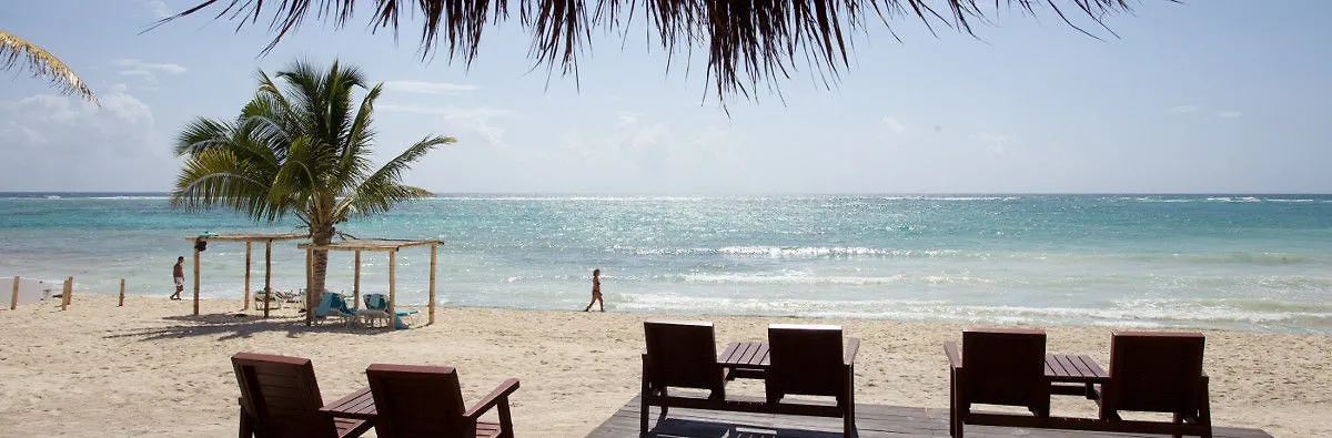 ***  Akumal Bay Beach & Wellness Resort Mexico