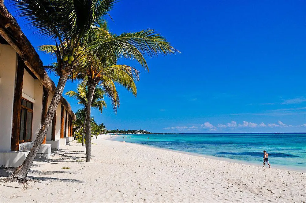 Akumal Bay Beach & Wellness Resort Mexico