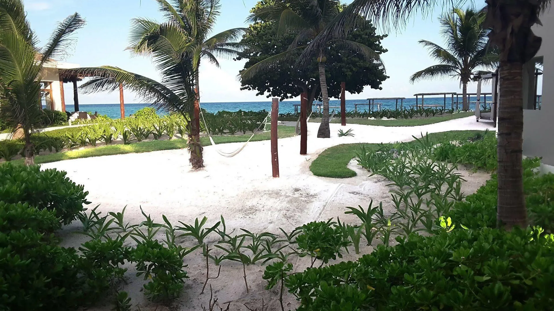 ***  Akumal Bay Beach & Wellness Resort Messico